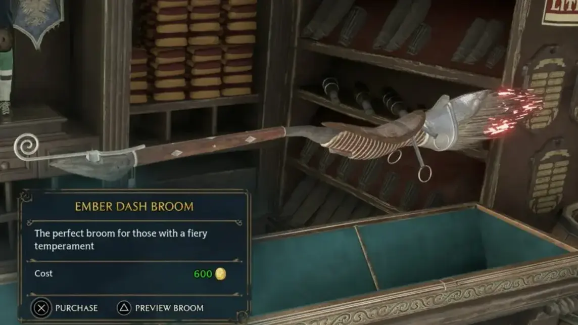 Bought Flying Broom