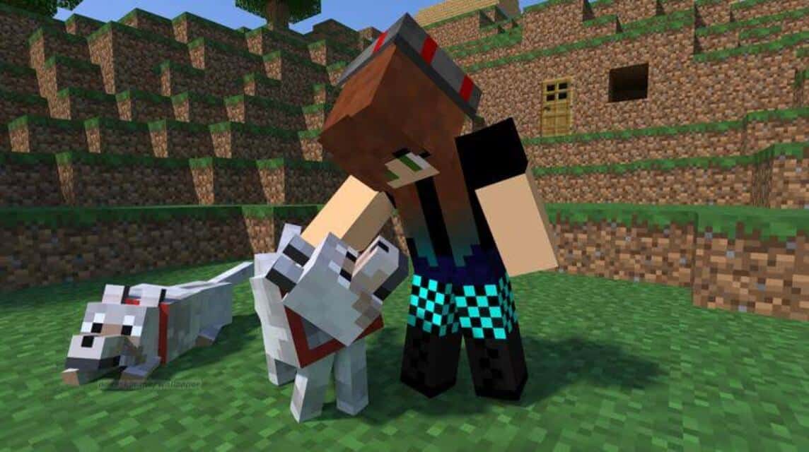 Nova Skin - Minecraft Skin Editor  Minecraft character skins, Minecraft  wallpaper, Minecraft characters