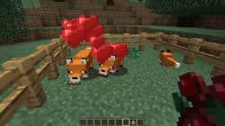 Alles, was Sie über Minecraft Foxes wissen müssen