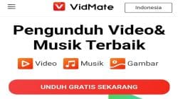 Get to know Vidmate, Easy Youtube Video Download App!