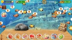 5 Best Fish Games of 2023, Play in Fun Auto Water!