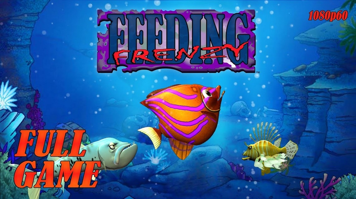 Feeding Frenzy – Fish