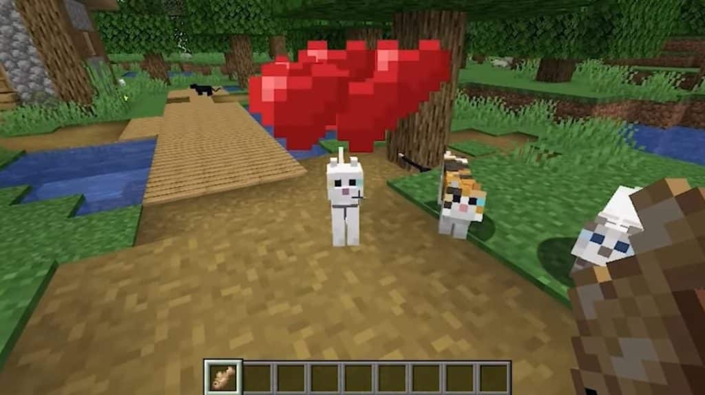 everything-you-need-to-know-about-minecraft-cats