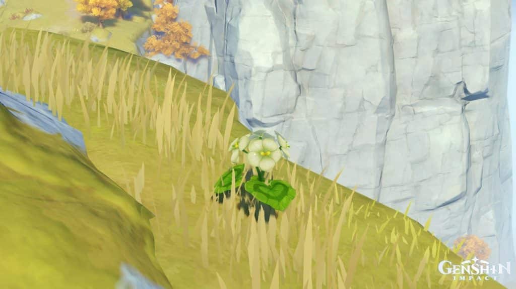 Qingxin Genshin Impact Farming Location and Route