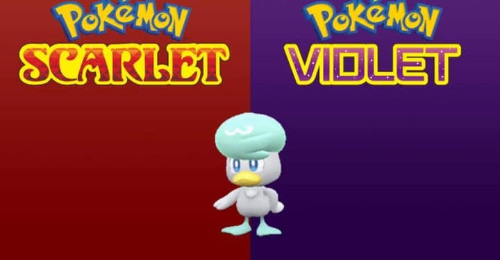 Guide About Quaxly Evolution in Pokemon Scarlet and Violet