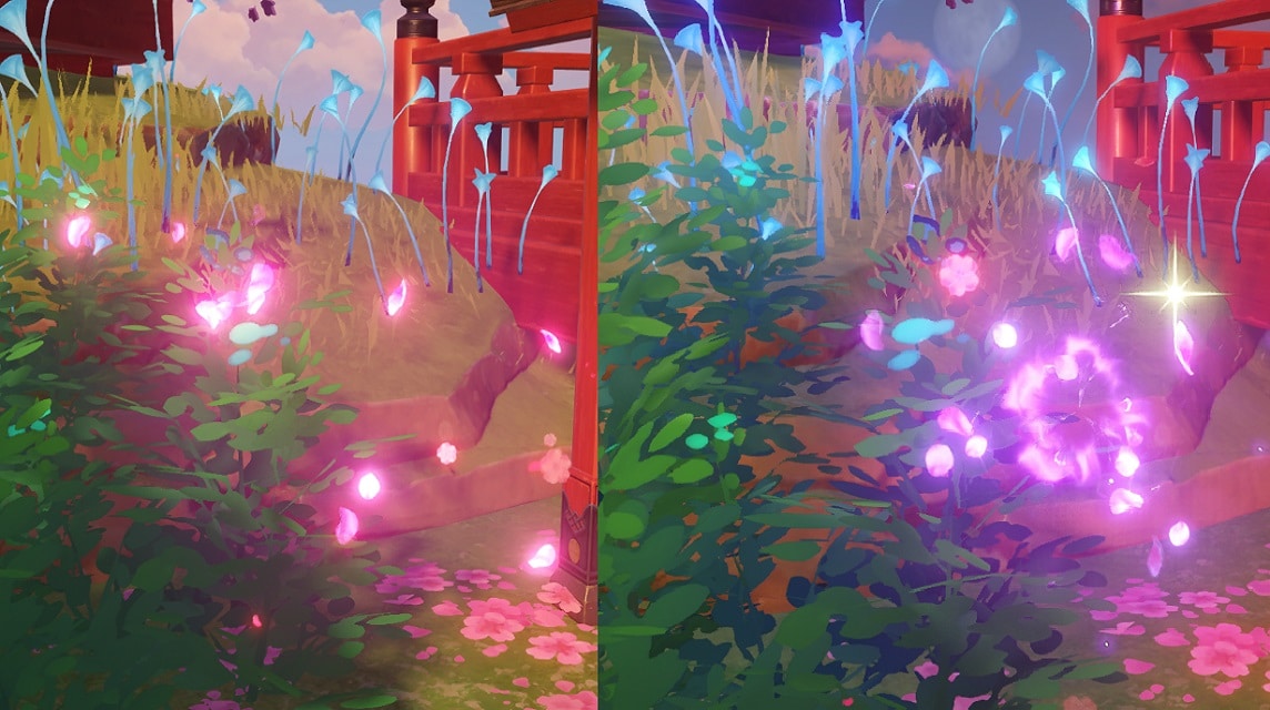 Sakura Bloom Genshin Impact vor und nach der Elektroanwendung