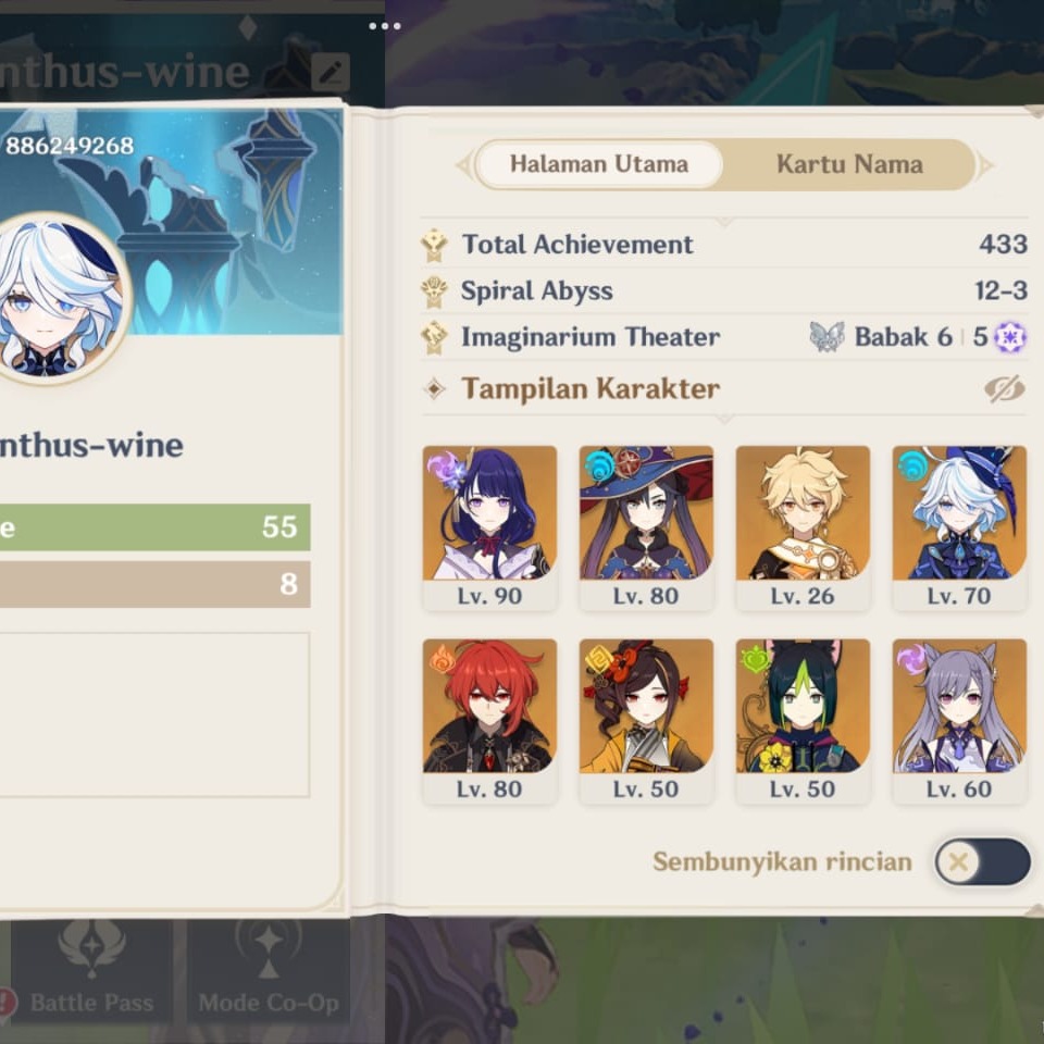 Jual Akun utama ar 55(Raiden,furina,chiori) Genshin Impact Genshin ACC shop | VCGamers