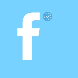 image-100 FOLLOWERS PROFILE FACEEBOOK