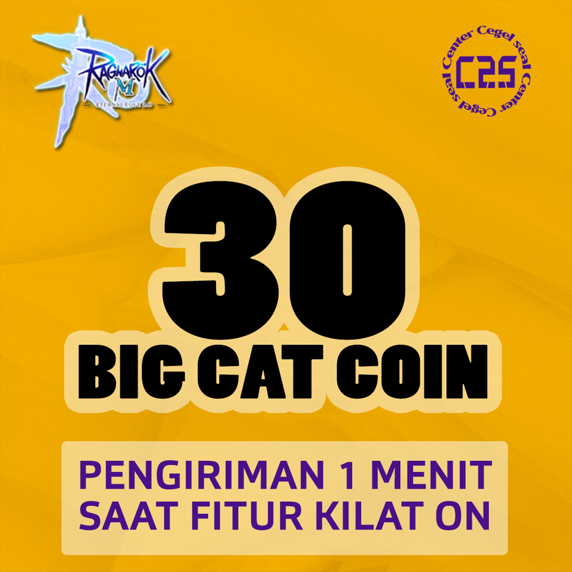image-30 Big Cat Coin