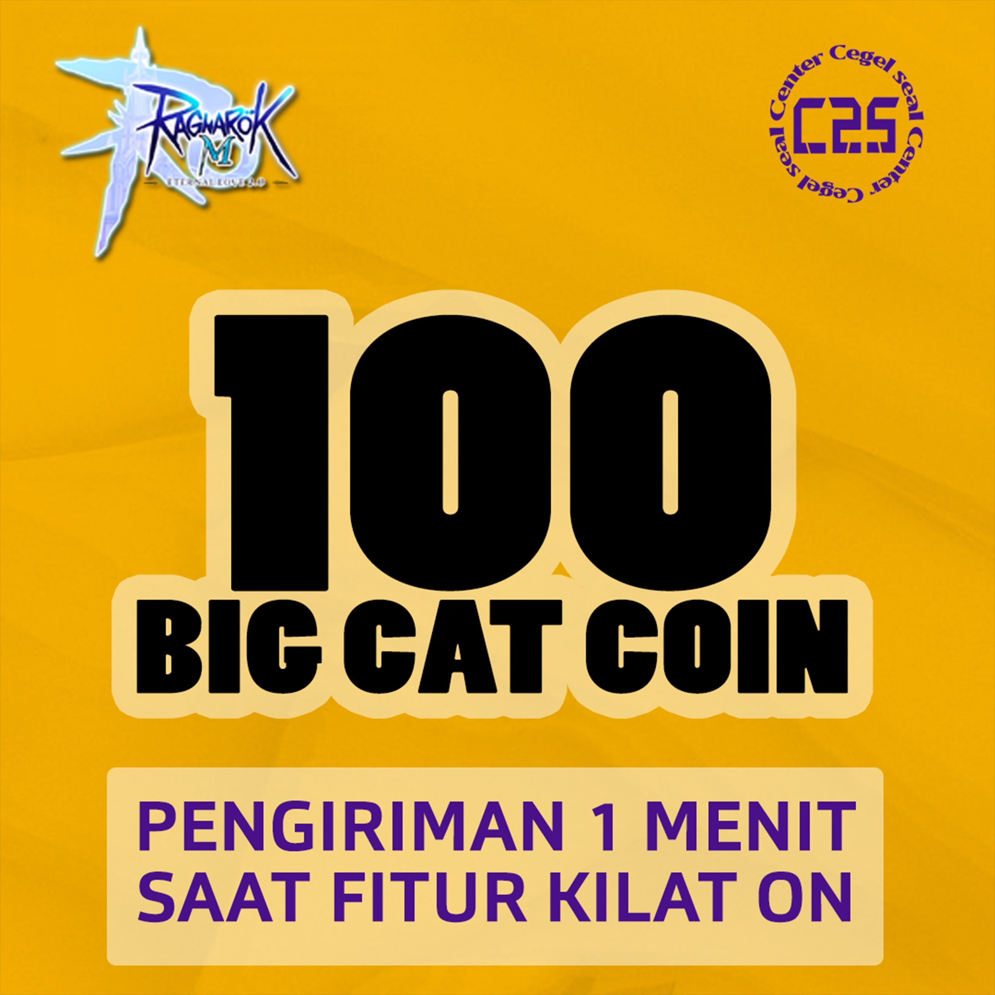 image-100 Big Cat Coin