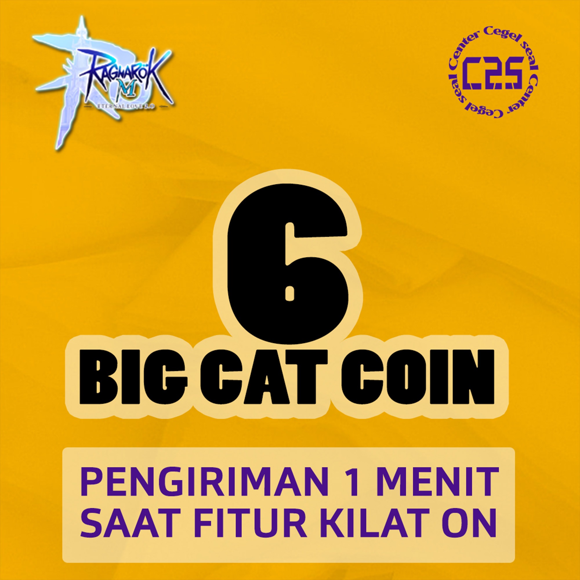 image-6 Big Cat Coins