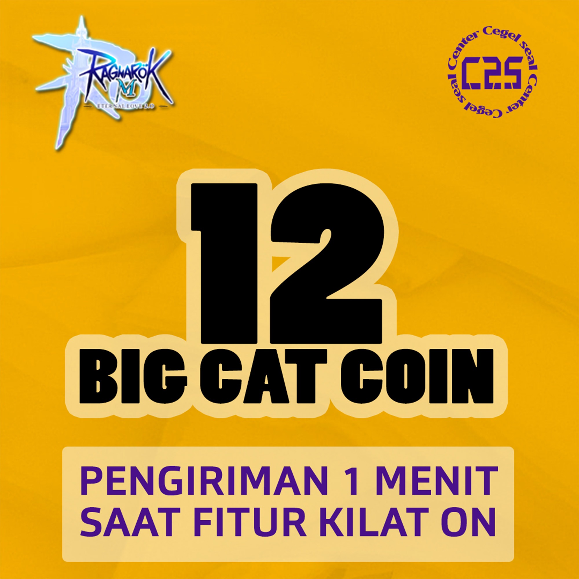 image-12 Big Cat Coins