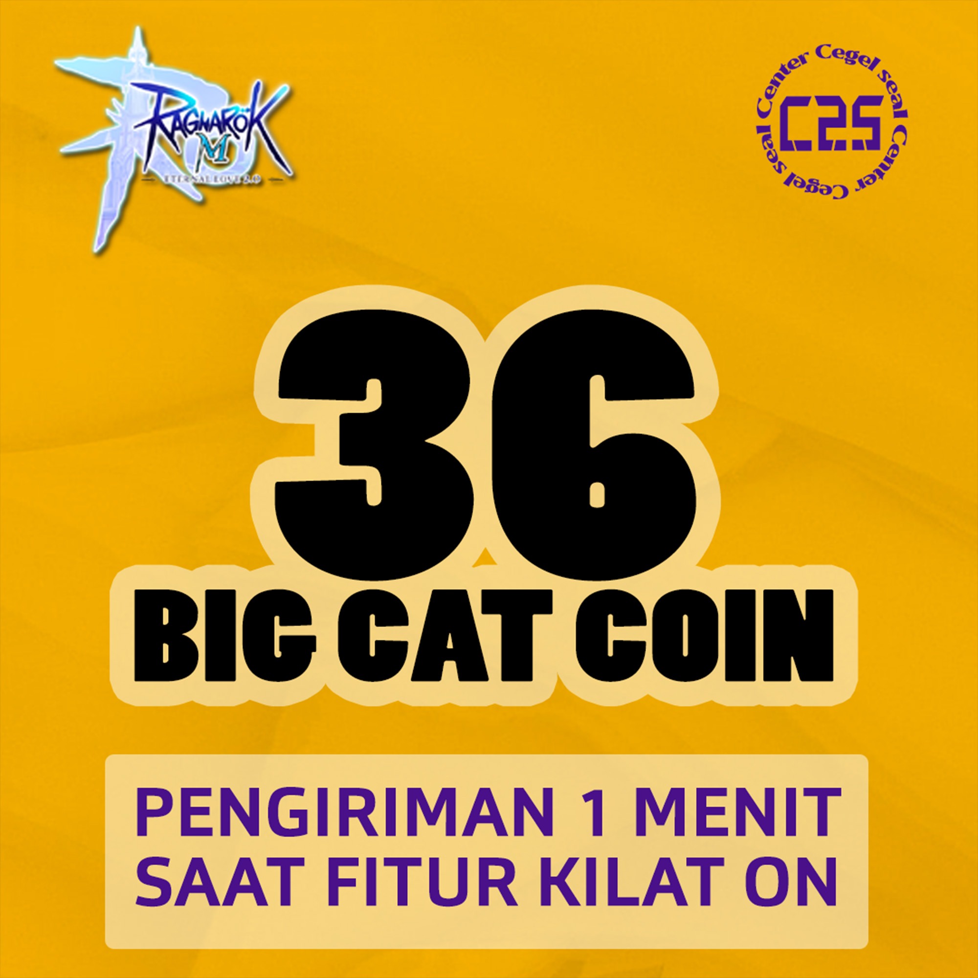 image-36 Big Cat Coins