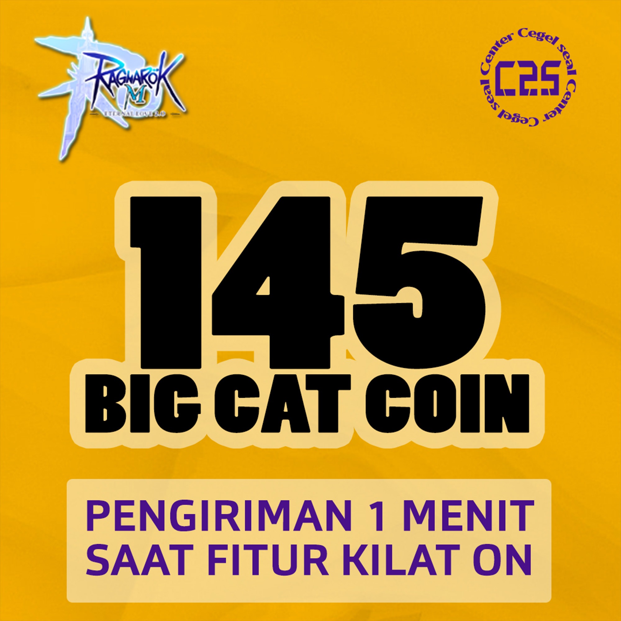 Jual 145 Big Cat Coins M Ragnarok M Eternal Love Center Cegel Seal | VCGamers