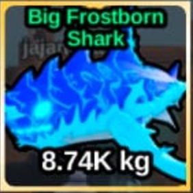 Jual Frostborn Shark Fish It! miso | VCGamers
