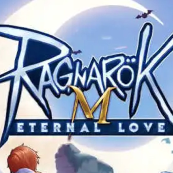 Jual 6 Big Cat Coins Ragnarok M Eternal Love TopMur | VCGamers