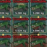 Jual Crocodile Fish It! - Roblox K.A Store | VCGamers