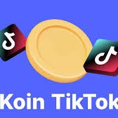 Jual TikTok LIVE Gift Card 20.000 IDR [80 Coins] Koin TikTok Gift Card GRStore | VCGamers