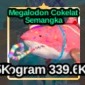 Jual Strawberry Choc Megalodon Fish It! - Roblox Toko Gen Z | VCGamers