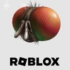 Jual Freaky Fly Face (DLC) Roblox Key GLOBAL Roblox saenshops | VCGamers