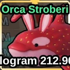 Jual Strawberry Orca Fish It! - Roblox ZALL STORE | VCGamers