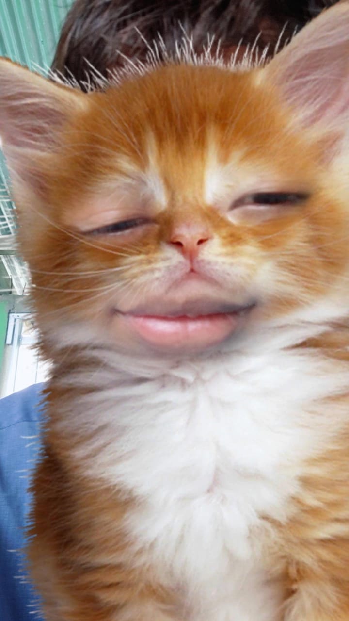 Daftar Produk Top up game amanah Terlaris & Terlengkap - VCGamers