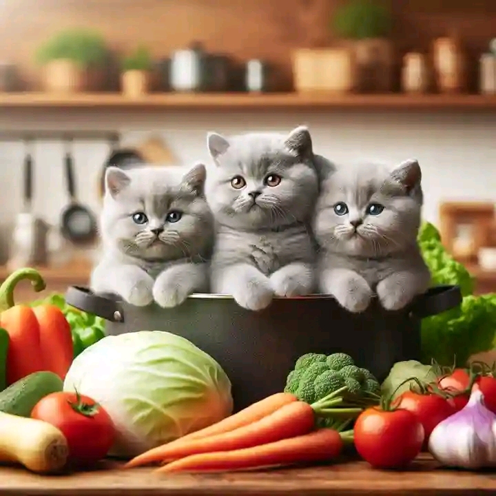 Daftar Produk Ozzishop Terlaris & Terlengkap - VCGamers