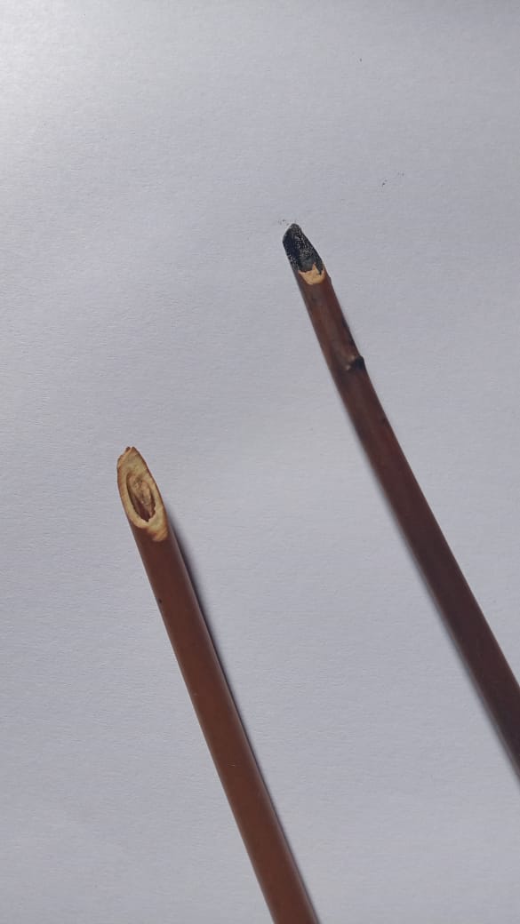 Daftar Produk TopUp Terlaris & Terlengkap - VCGamers