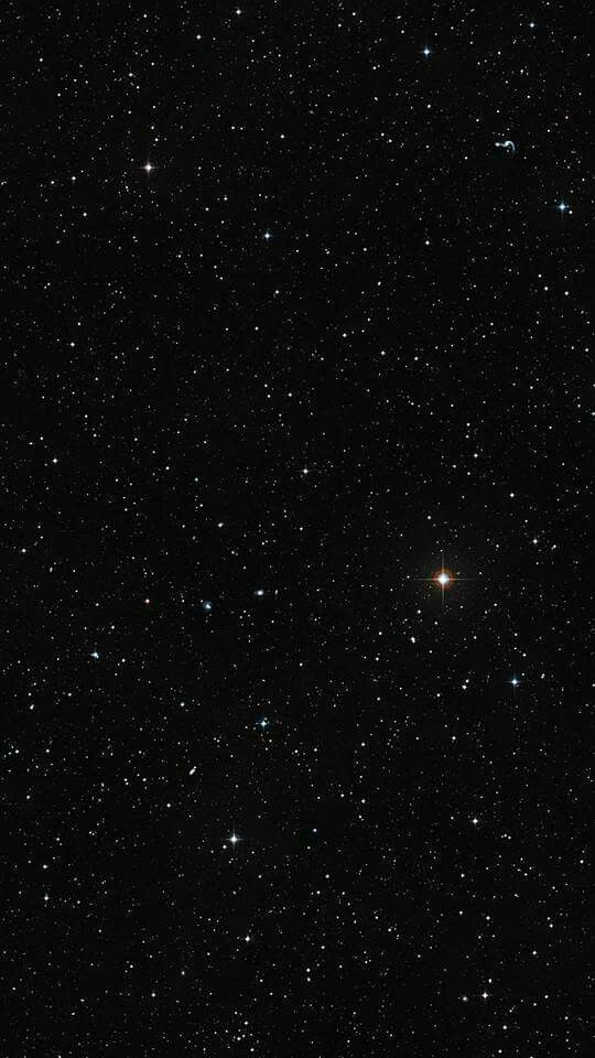 Daftar Produk Karuta Spider Terlaris & Terlengkap - VCGamers