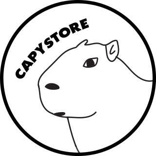 Daftar Produk CAPYSTORE Terlaris & Terlengkap - VCGamers