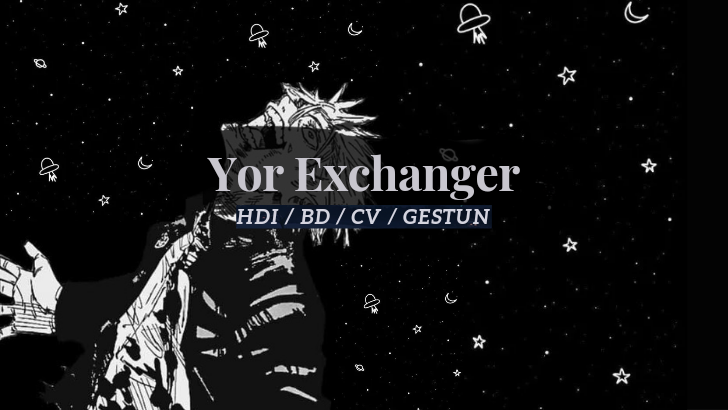 Daftar Produk Yor Exchanger Terlaris & Terlengkap - VCGamers