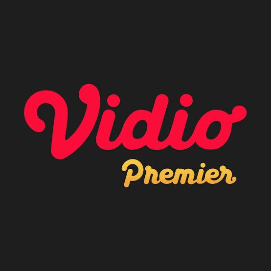image-Vidio 30 Hari Platinum