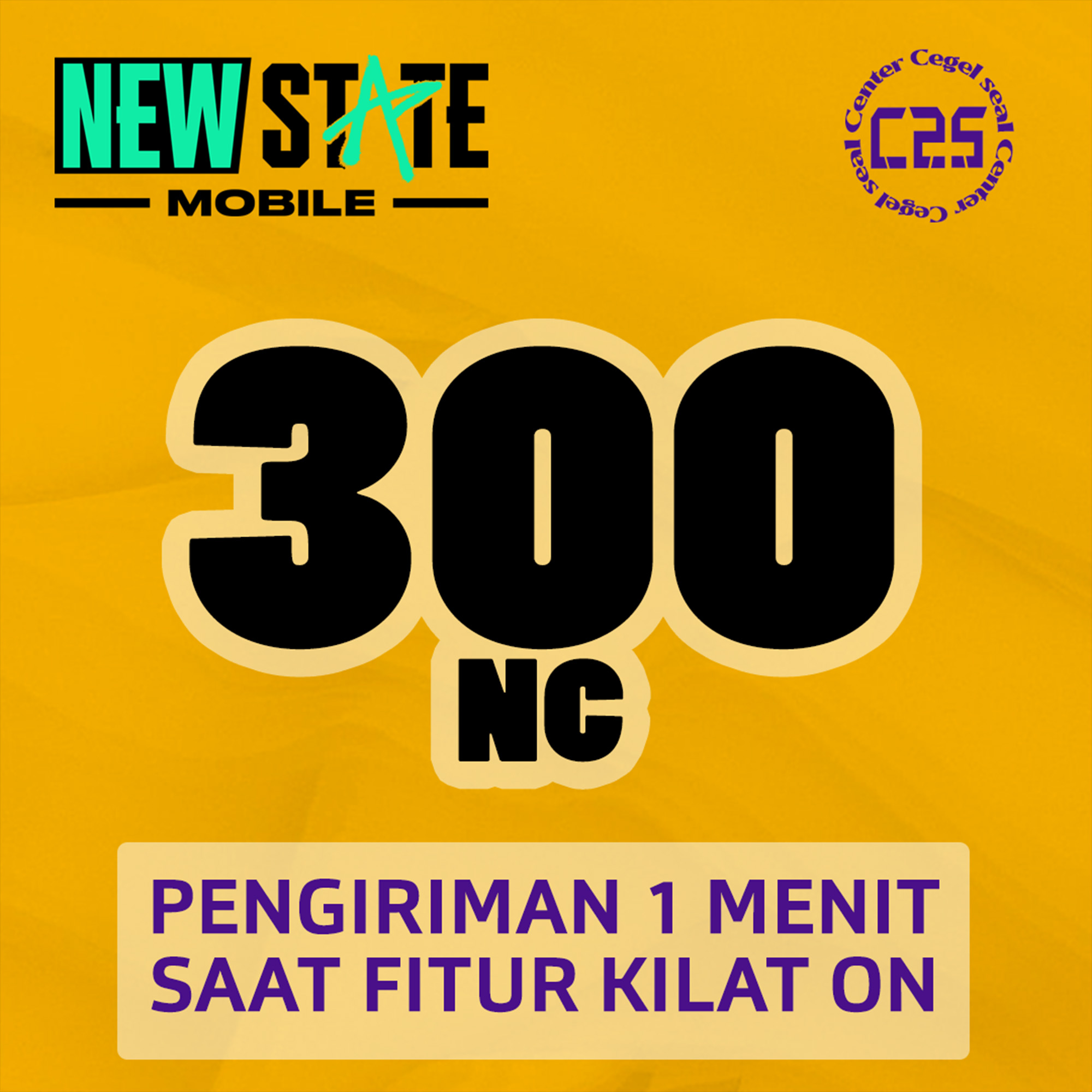 image-300 NC