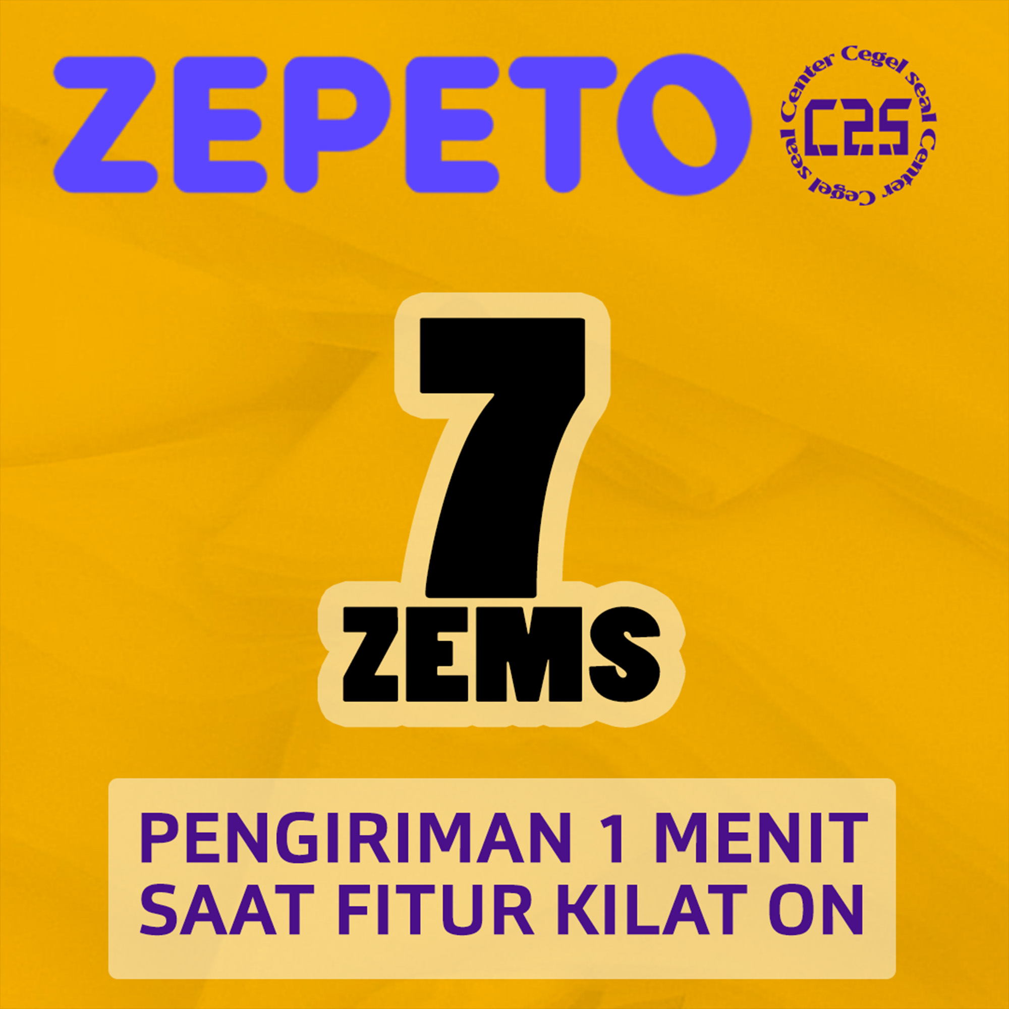 image-7 ZEMS