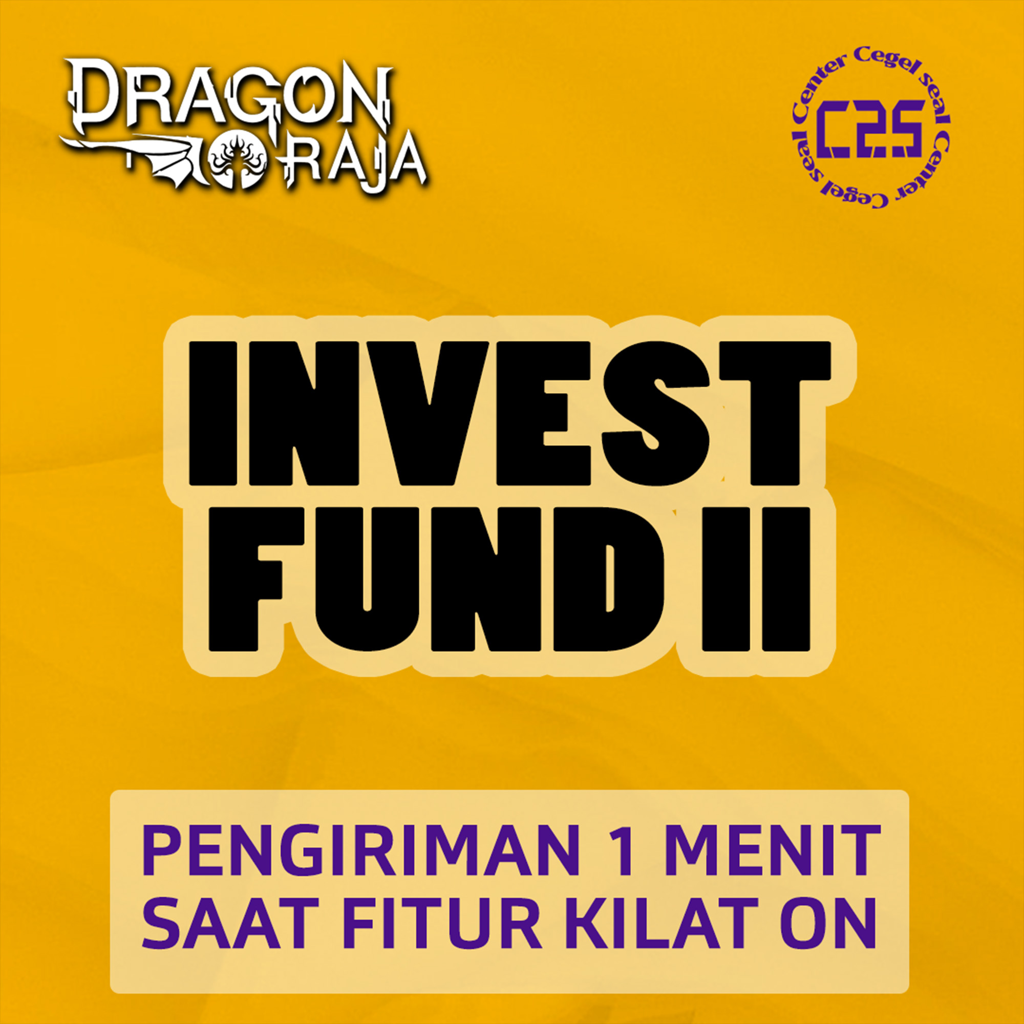 image-Dragon Raja Investment Fund II