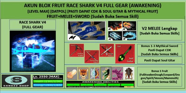 Jual Akun Blox fruit Blox Fruits VCGamers