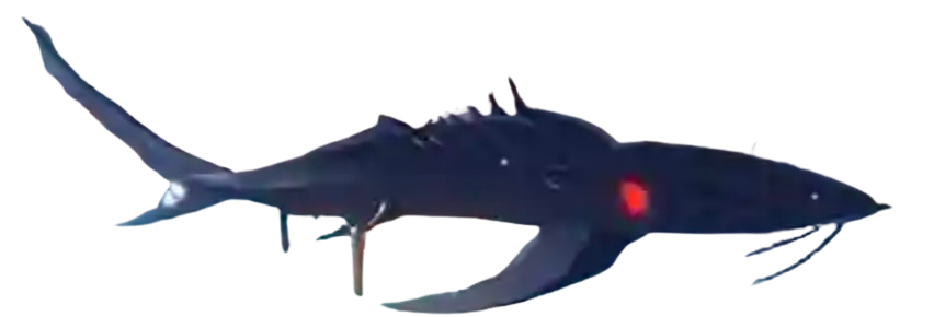 Thin Armor Shark Fish It! - Roblox Ikan (Fish It!)