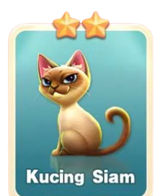 Tukar Kartu Kucing Siam Higgs Games Island (Tukar Kartu) Tukar Kartu