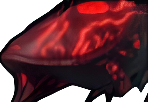 Blood Moon Whale Fish It! - Roblox Ikan (Fish It!)