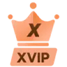 XVIP-1 day VSPhone XVIP