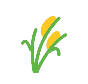 2x Harvest SAWAH Indo - Roblox Game Pass