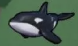 Orca Fish It! Ikan (Fish It!)